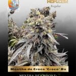 Mentha de Croco 'Croco' Bx (Regular) - TerpyZ Mutant Genetics