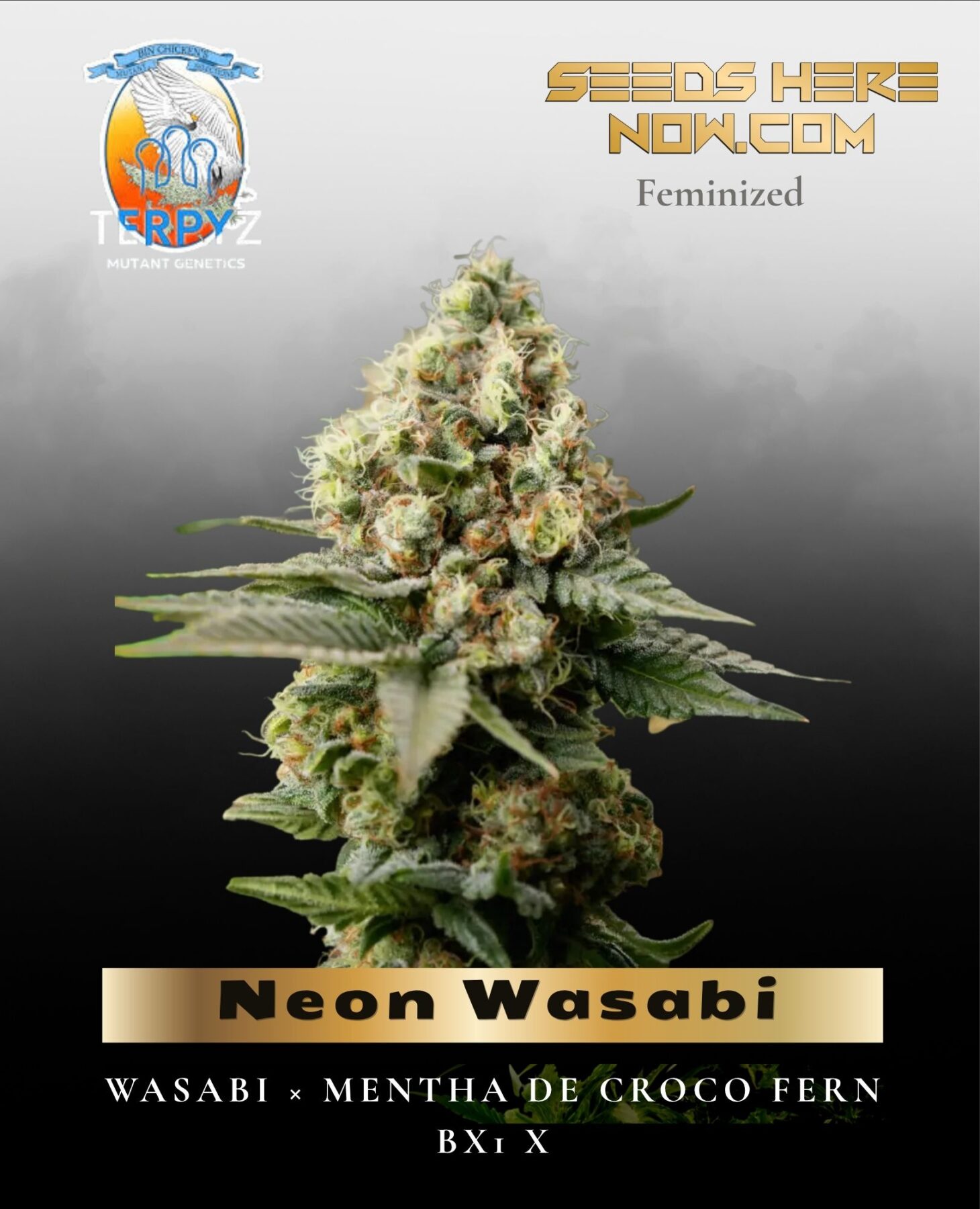 Neon Wasabi (Feminized) - TerpyZ Mutant Genetics