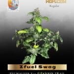 Zfuel Swag (Regular) - TerpyZ Mutant Genetics