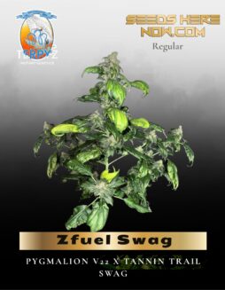 Zfuel Swag (Regular) (space) TerpyZ Mutant Genetics