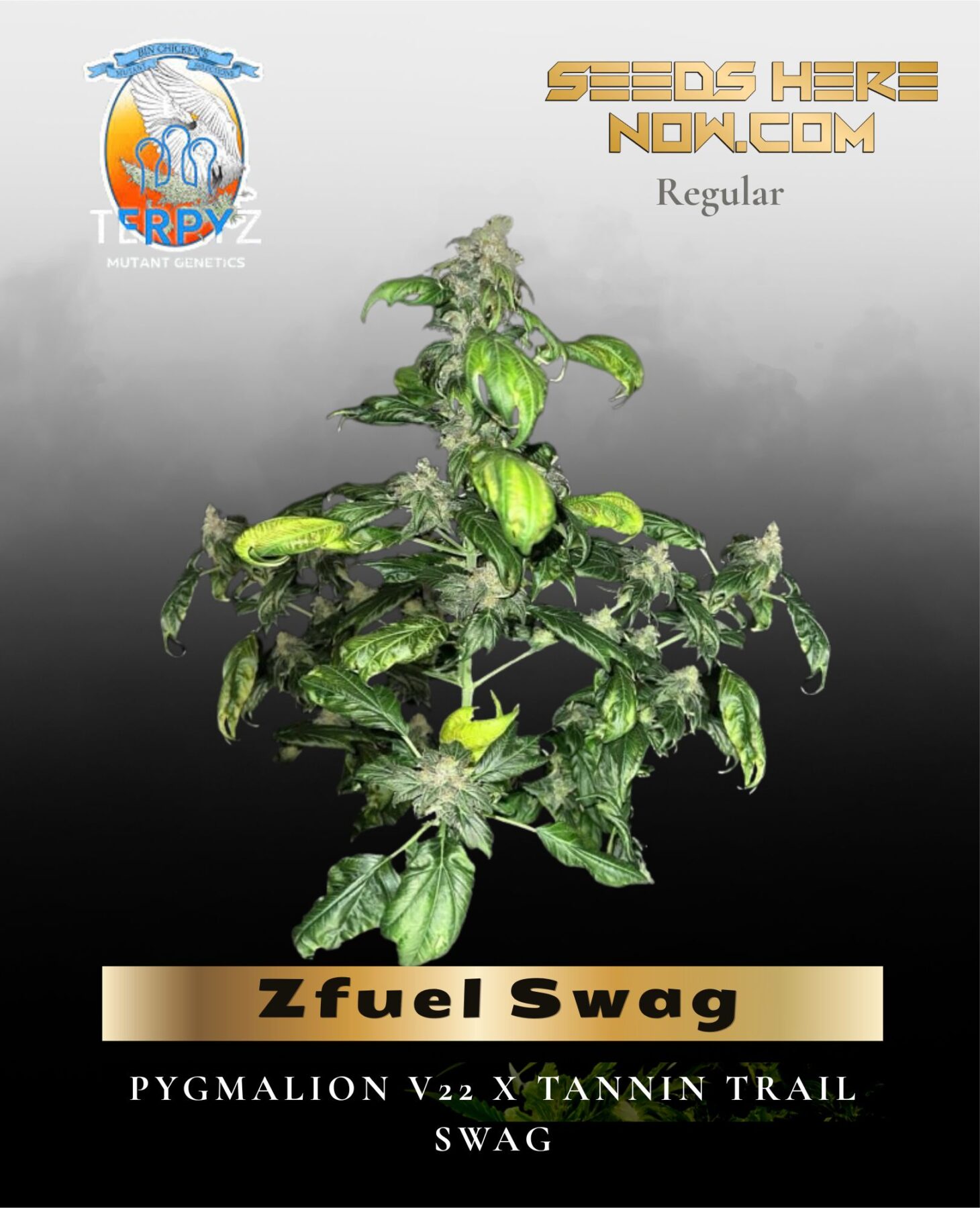 Zfuel Swag (Regular) - TerpyZ Mutant Genetics