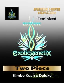 Two Piece (Feminized) (Space) Exotic Genetix – Two Piece (Feminized) (space) Exotic Genetix