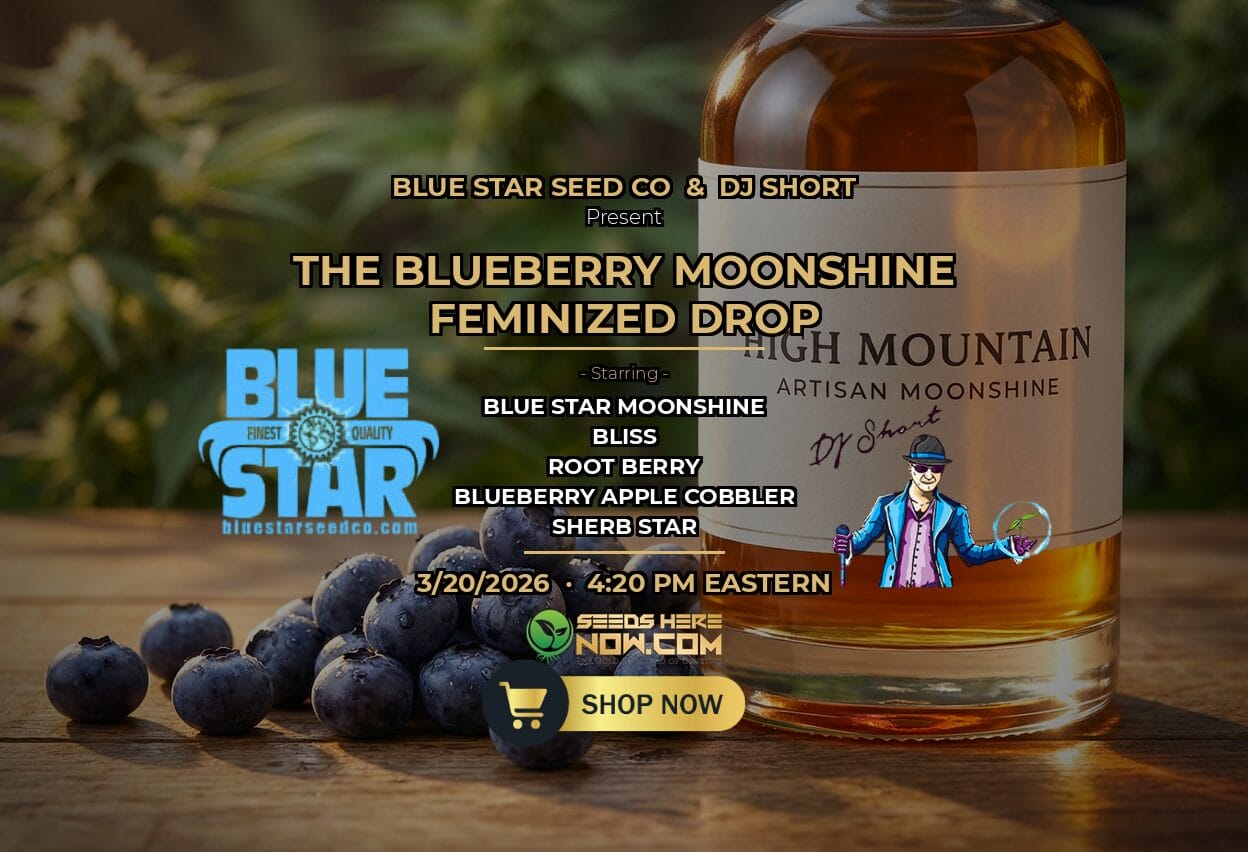 Autoflower Seeds Promotion