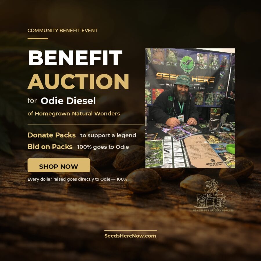 Autoflower Seeds Promotion