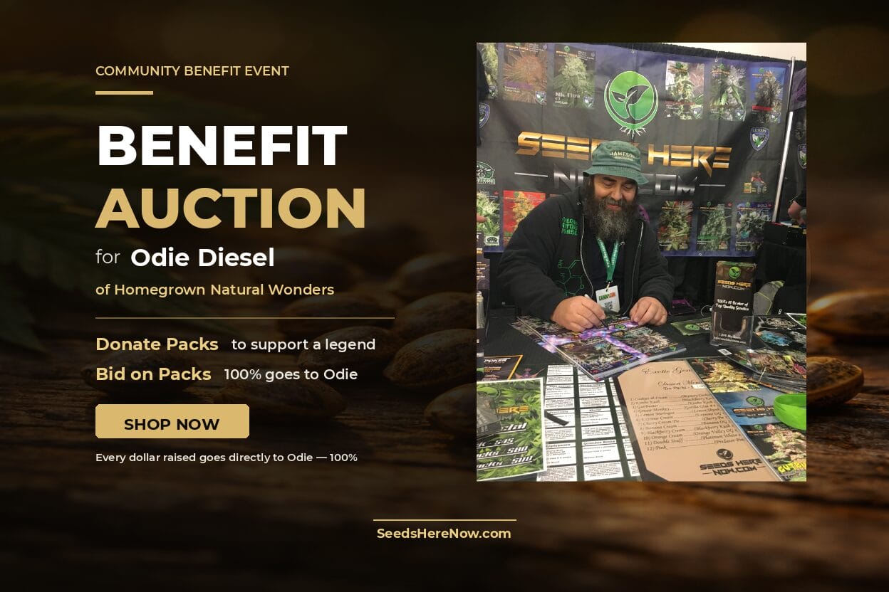 Autoflower Seeds Promotion