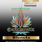 Blonuts (Feminized) - Exotic Genetix