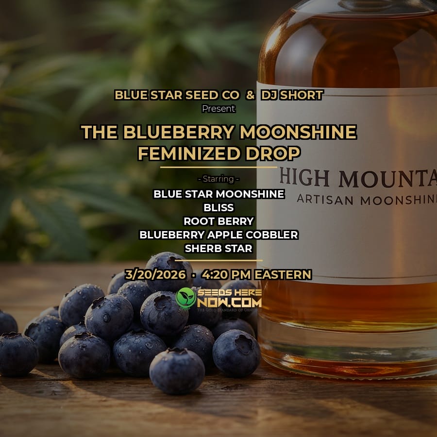 Autoflower Seeds Promotion