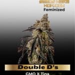 Double D's (Regular) - Exotic Genetix