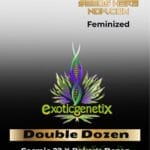 Double Dozen (Feminized) - Exotic Genetix