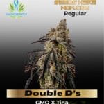 Double D's (Regular) - Exotic Genetix