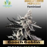 Gooch Goblin (Feminized) - Exotic Genetix