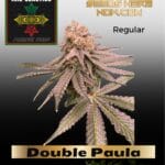 Double Paula (Regular) - Irie Genetics