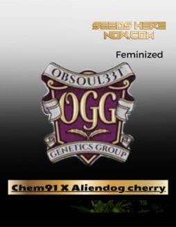 Chem91 X Aliendog cherry (Feminized) (space) Obsoul33t