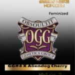 GG#4 X Aliendog Cherry (Feminized) - Obsoul33t