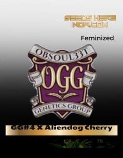 GG#4 X Aliendog Cherry (Feminized) (space) Obsoul33t