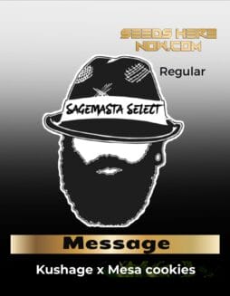Message (Regular) (space) SageMasta Select