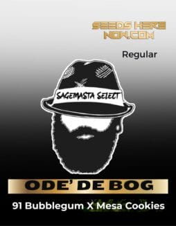 ODE' DE BOG (Regular) (space) SageMasta Select