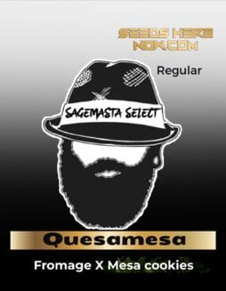 Quesamesa (Regular) (space) SageMasta Select