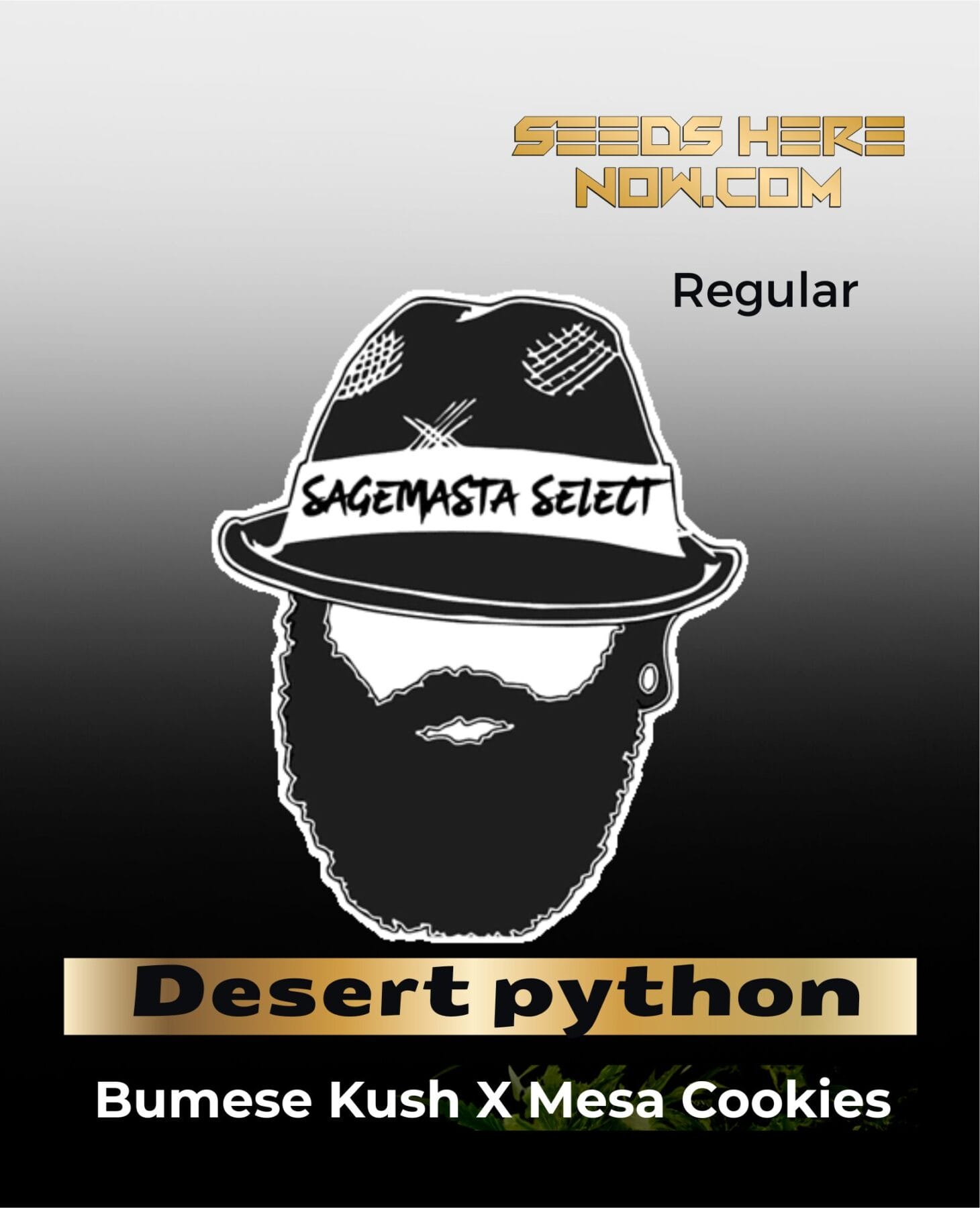 sagemasta select desert python