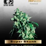 Super Skunk (Feminized) - Sensi Seeds