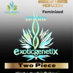Two Piece (Feminized) - Exotic Genetix