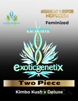 Two Piece (Feminized) (space) Exotic Genetix