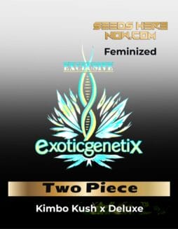 Two Piece (Feminized) (space) Exotic Genetix