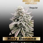 Holy Banana (Regular) - Utopia