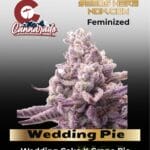 Wedding Pie (Feminized) - Cannarado Genetics