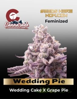 wedding pie