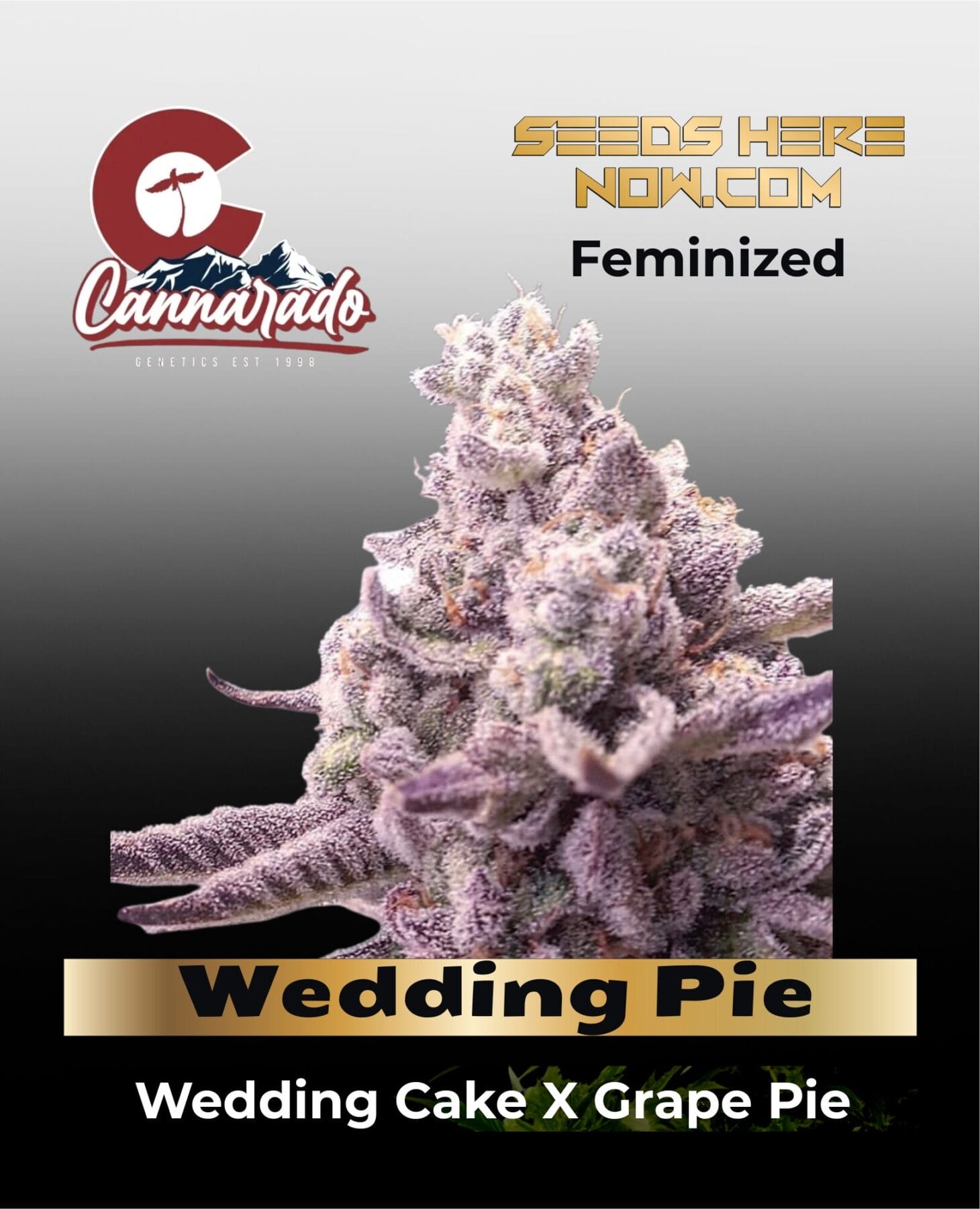 wedding pie