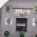 Tasty Tress (Regular) – Archive Seed Bank | Vault Release