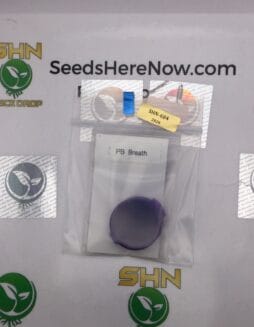 PB Breath (Regular) – Thug Pug Genetics | Vault Release