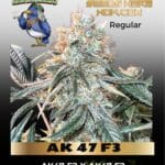 AK 47 F3 (Regular) - Katsu Seeds