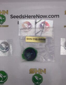 Eye Candy (Regular) – Exotic Genetix | Vault Release