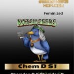 Chem D S1 (Feminized) - Katsu Seeds