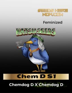Chem D S1 (Feminized) (space) Katsu Seeds