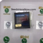 Super Sour Lazy Deez (Regular) – Exotic Genetix | Vault Release