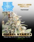 DIESEL STAR F3 (Feminized) - BLUE STAR SEED CO