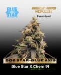 DOG STAR-BLUE AXIS (Feminized) - BLUE STAR SEED CO
