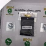 Gelato 33 X Dosidos (Feminized) – Archive Seed Bank | Vault Release