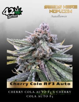 Cherry Cola RF3 Auto (Feminized) (space) Fast Buds