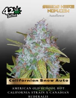 Californian Snow Auto (Feminized) (space) Fast Buds