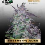 Fastberry Auto (Feminized) - Fast Buds