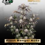 Frost Banger Auto (Feminized) - Fast Buds