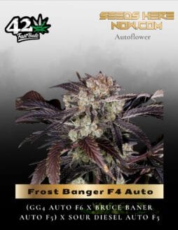 Frost Banger F4 Auto (Feminized) (space) Fast Buds