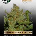 Green Crack Auto (Feminized) - Fast Buds