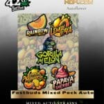 Fastbuds Mixed Pack Auto (Feminized) - Fast Buds