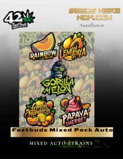Fastbuds Mixed Pack Auto (Feminized) (space) Fast Buds