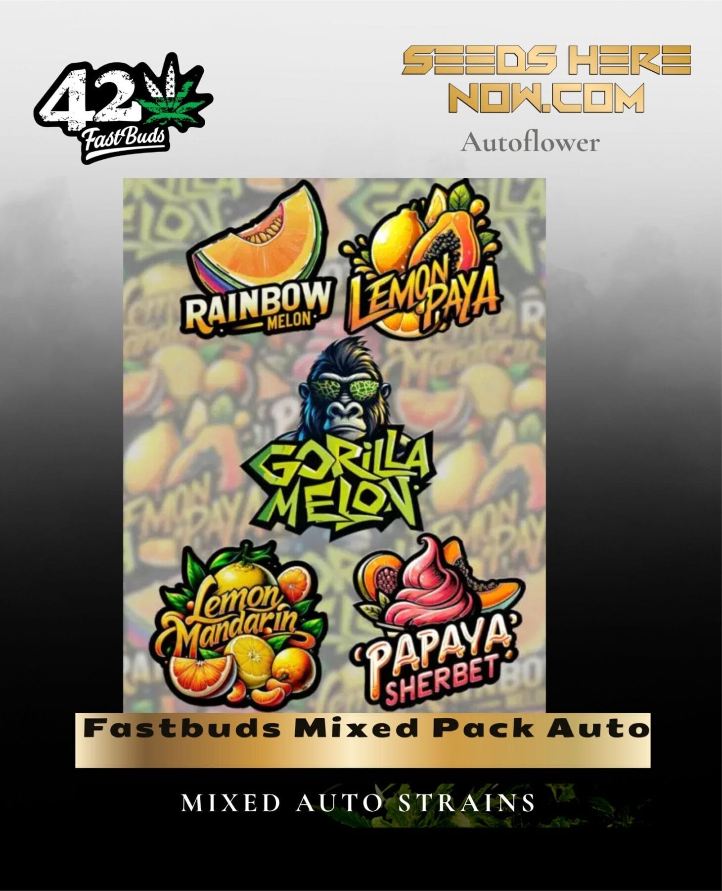 Fastbuds Mixed Pack Auto (Feminized) - Fast Buds